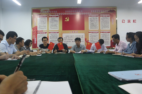 公司党总支全体会议